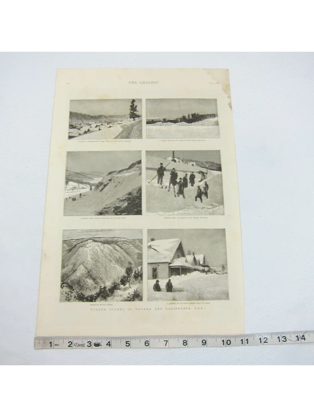 Antique 1885 Print 